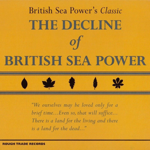 BRITISH SEA POWER - DECLINE OF BRITISH -2CD-BRITISH SEA POWER DECLINE OF.jpg